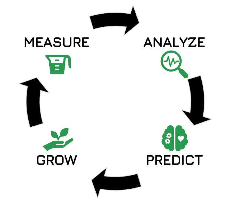 crop-steering-growbud